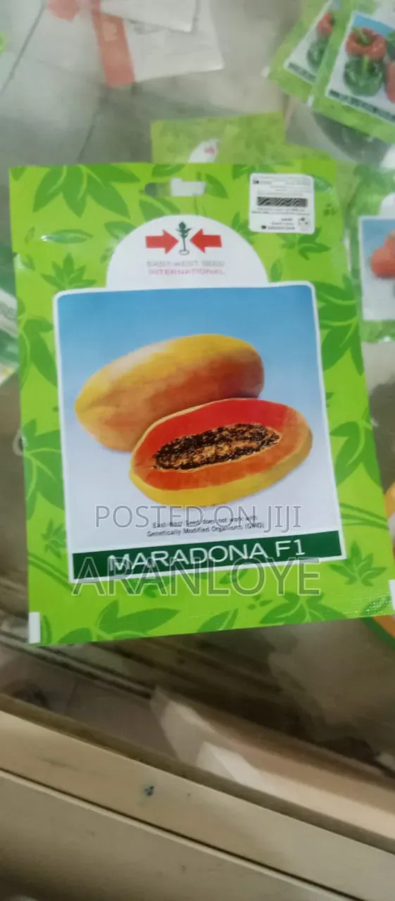 Hybrid Pawpaw