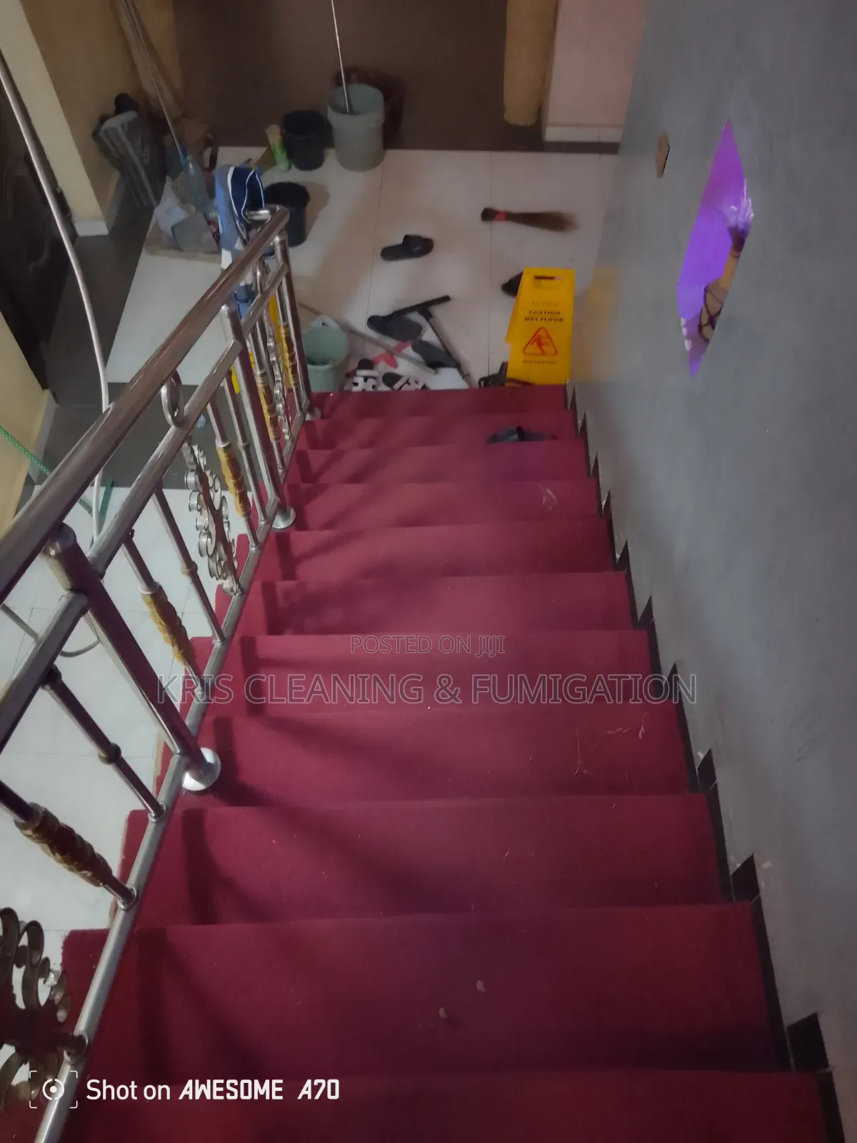 Fumigation Service