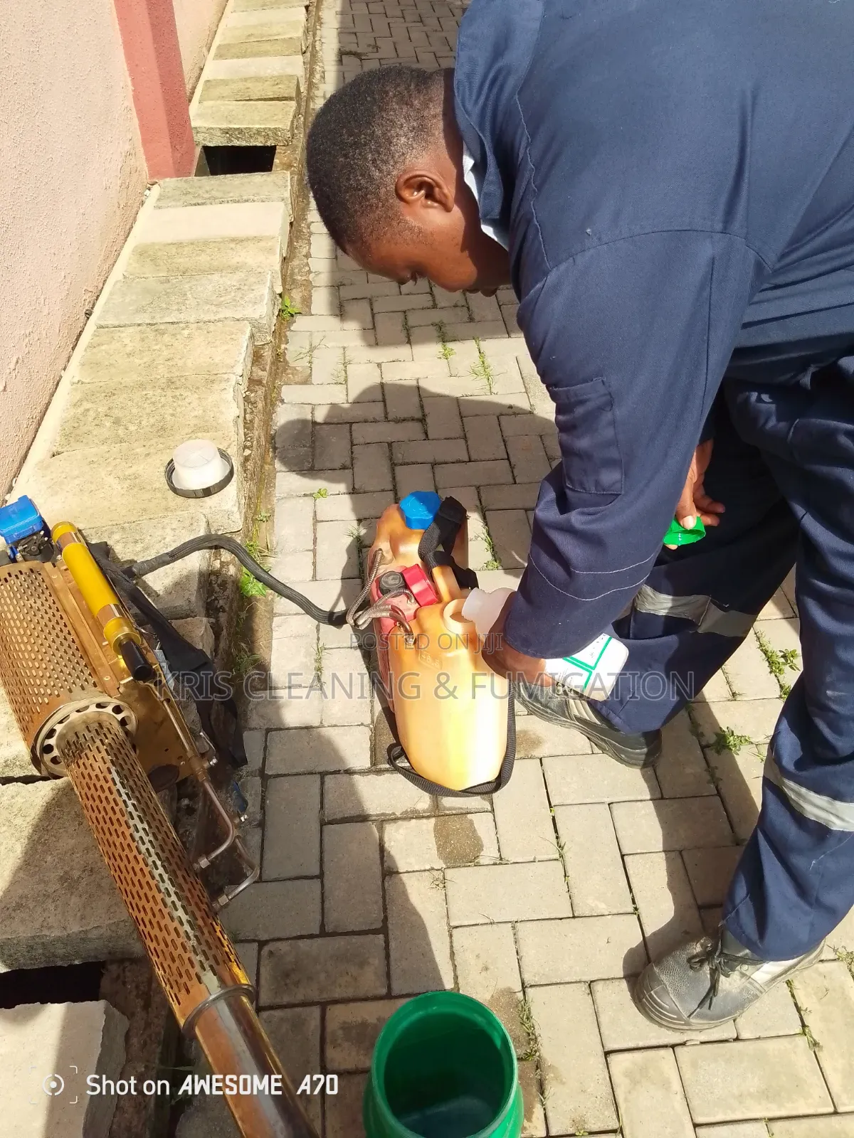 Fumigation Service