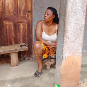 Tecno Phone and Fridge