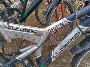 New Generation Salcano Dual S Bicycle