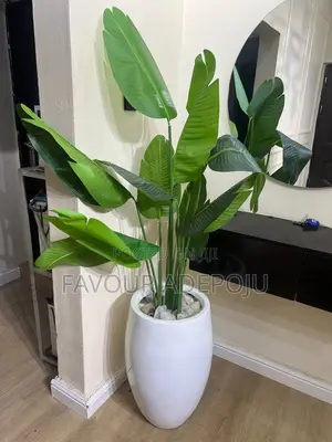 Flowers Vase