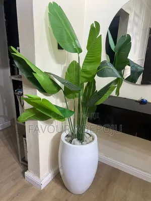 Flowers Vase