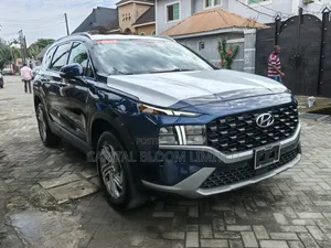 Hyundai Santa Fe 2023 Blue