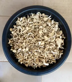 Dried Oyster Mushroom