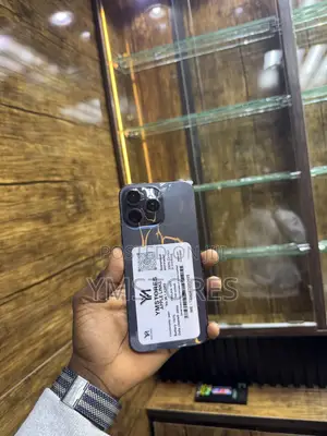 Apple iPhone 15 Pro Max 256 GB Blue