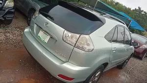 Lexus RX 2009 Gray