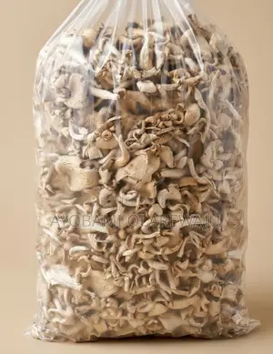 Dried Oyster Mushroom