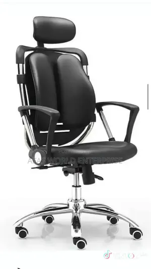 Imported Kidney Chair for Protection of Waist Pain