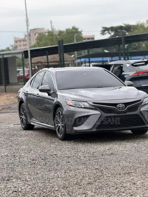 Toyota Camry 2019 Gray