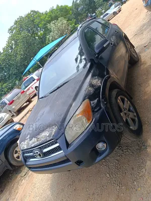 Toyota RAV4 2010 Gray