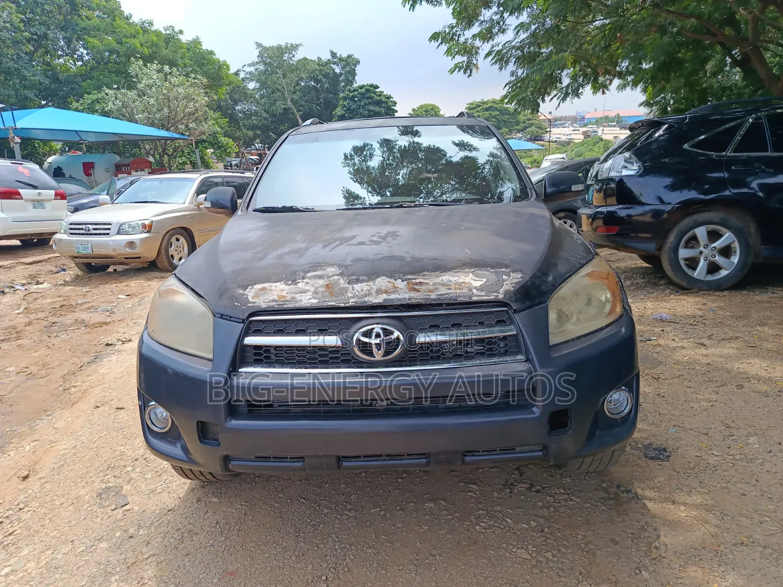 Toyota RAV4 2010 Gray