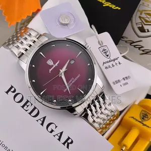 Poedagar Steel Watch