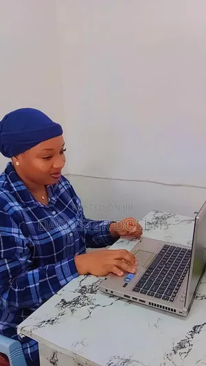 Phone Repairer Service