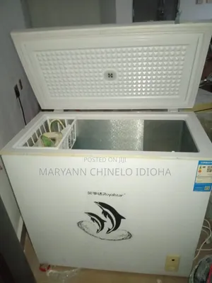 RoyalStar Freezer 249L