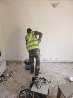Mould Removal, Repairs and Damp Wall Maintenance