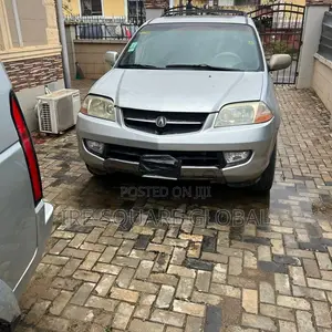 Acura MDX Sport Utility 2004 Silver