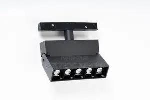 Magnetic Track Light