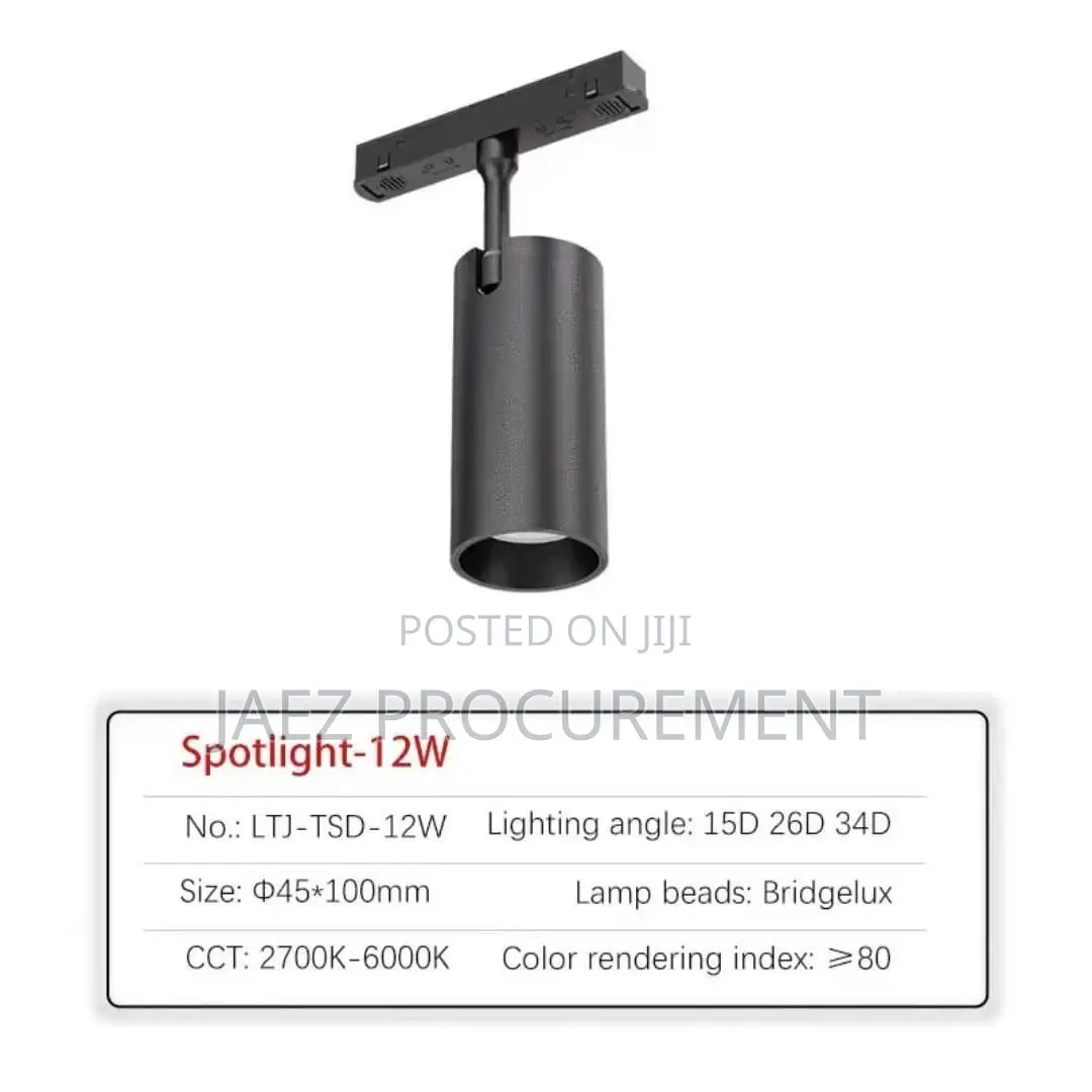 Magnetic Track Light