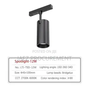 Magnetic Track Light