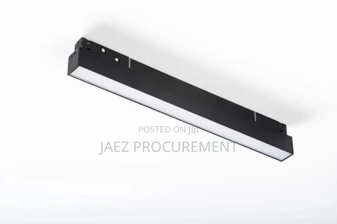 Magnetic Track Light