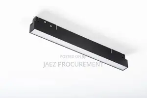 Magnetic Track Light
