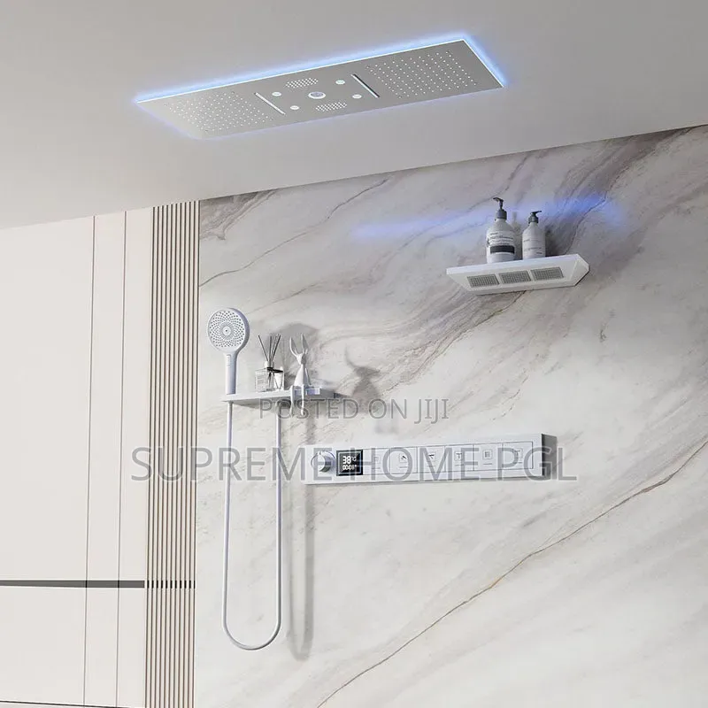 High Quality Smart Multi-Functional Conduit Shower