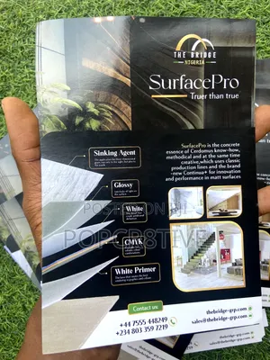 Printed Flyer