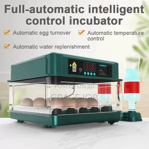 Egg Incubator