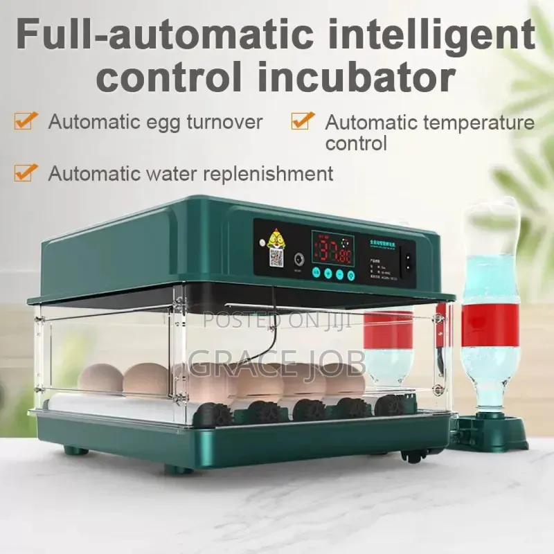Egg Incubator