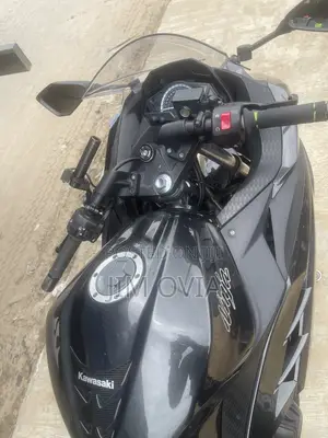 Kawasaki Ninja 300 2017 Gray