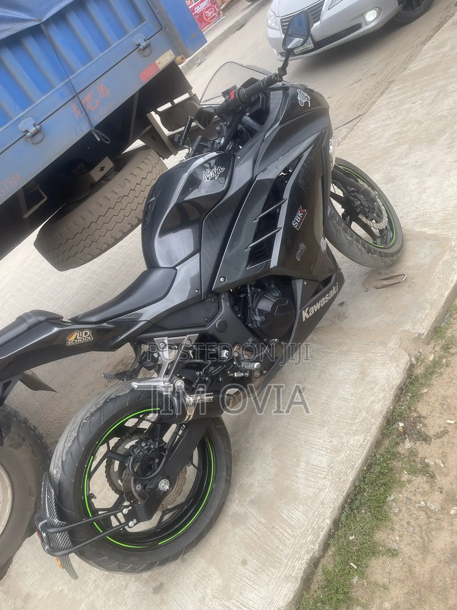 Kawasaki Ninja 300 2017 Gray