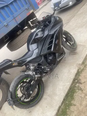 Kawasaki Ninja 300 2017 Gray
