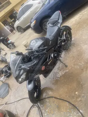 Kawasaki Ninja 300 2017 Gray
