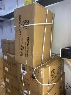 5kwh 24v Ecolion Ion Lithium Solar Battery