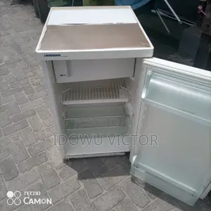 100 Liters Very Effective German Fridge