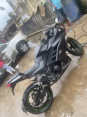 Kawasaki Ninja 300 2017 Gray