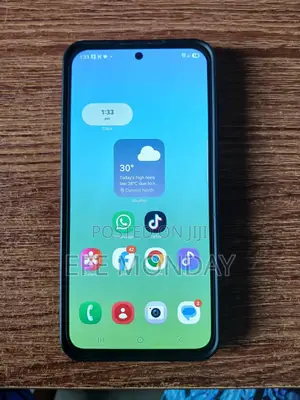 Samsung Galaxy A55 256 GB Black