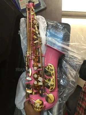 Pink Gold Alto Saxophone With Case
