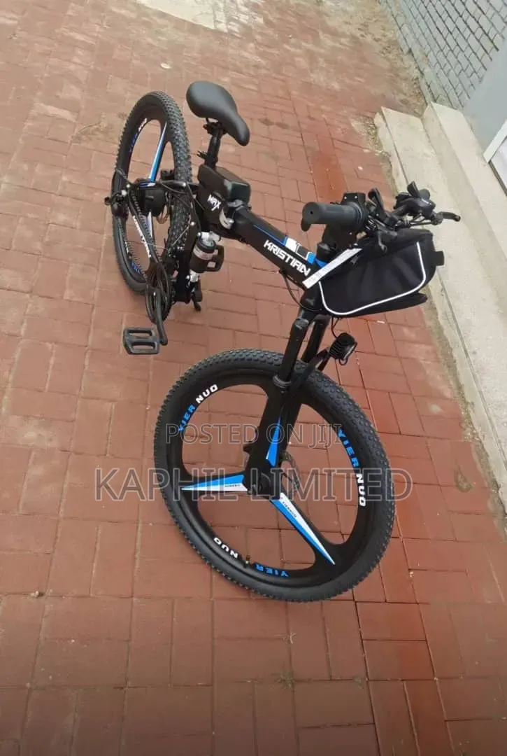 Lithium Battery Electric Bicycle