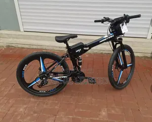 Lithium Battery Electric Bicycle