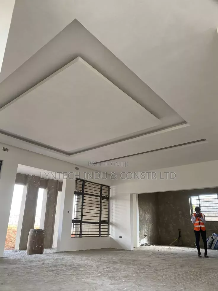 Professional Gypsum Ceiling Installation