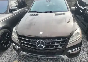 Mercedes-Benz M Class 2013 Brown
