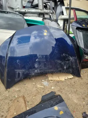 Lexus RX Bonnet and Fender