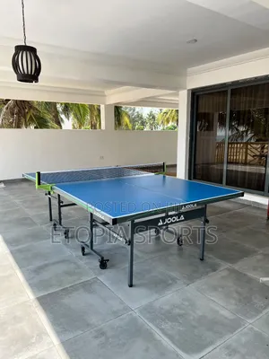Joola Out Door Table Tennis