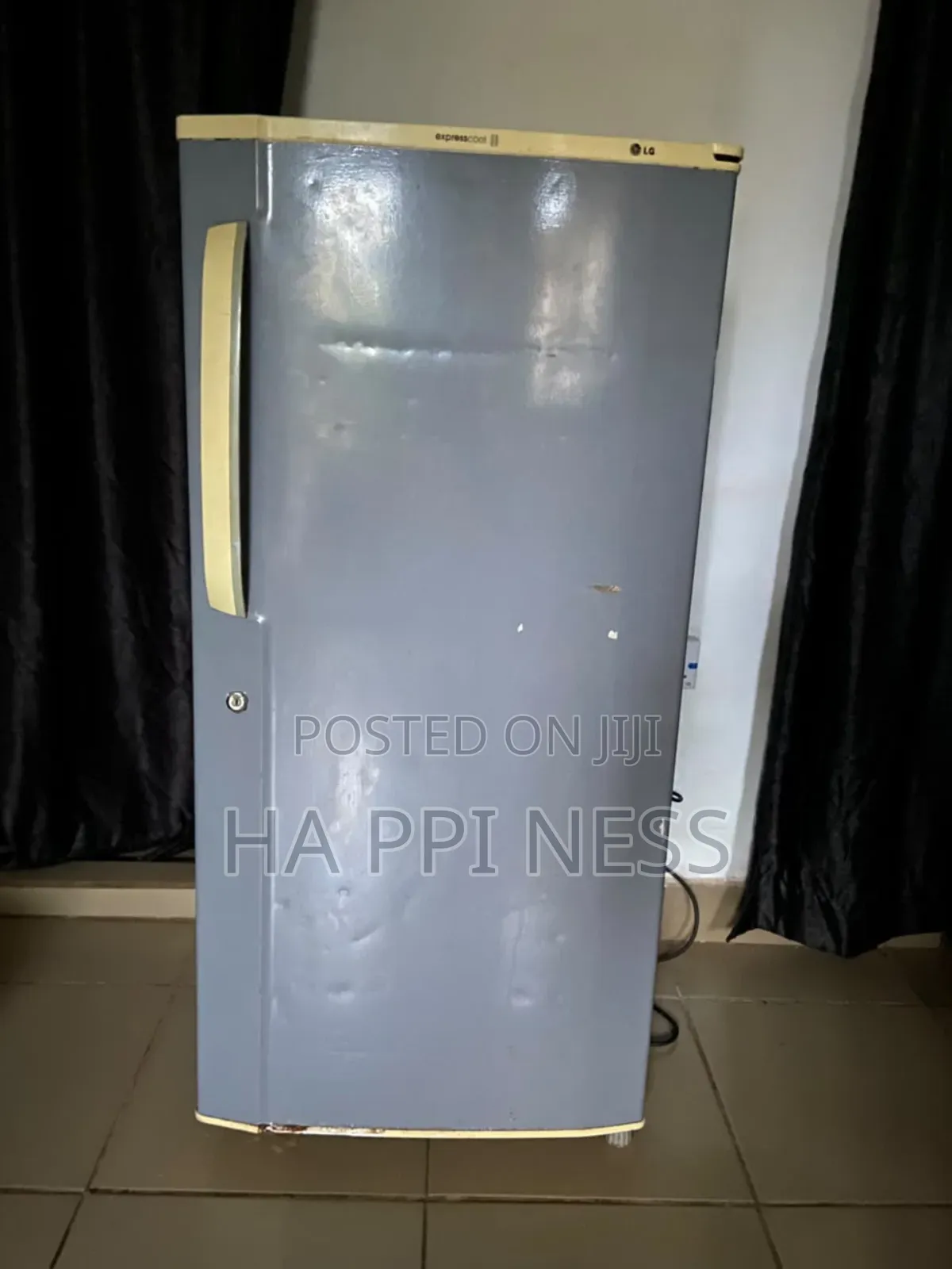 Standing Fridge