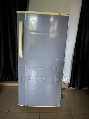Standing Fridge