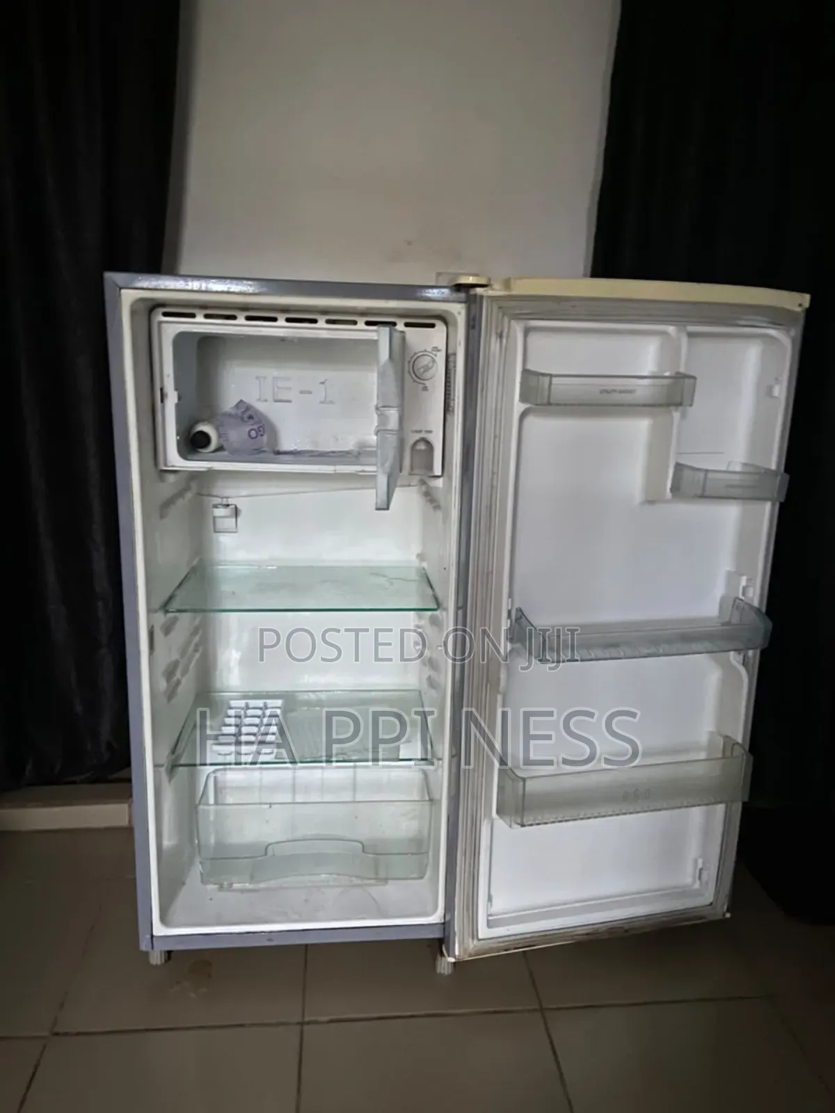 Standing Fridge