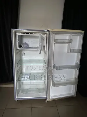 Standing Fridge