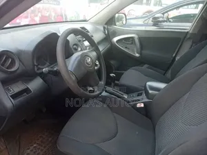 Toyota RAV4 2010 Silver